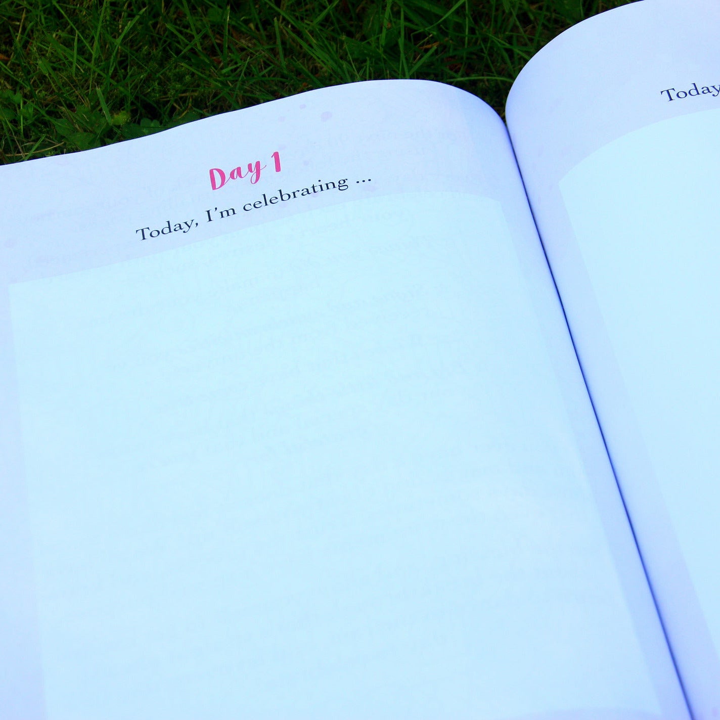 Manifest Your Dream Life Workbook + Journal by Anna Frolik, journal page