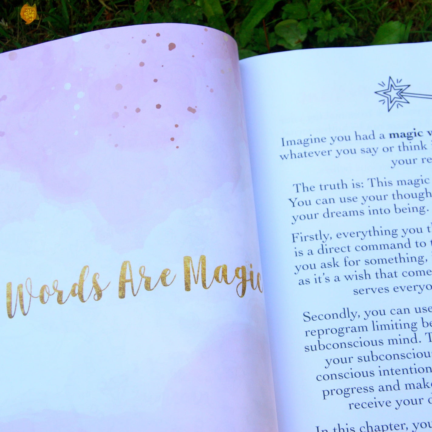 Manifest Your Dream Life Workbook + Journal, chapter 2, Words Are Magic